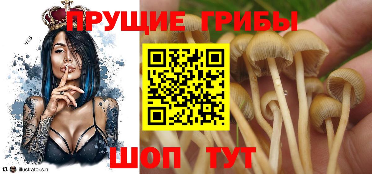 Псилоцибиновые грибы мухоморы  Псилоцибиновые грибы ЛСД  Вход с VPN  Благовещенск 