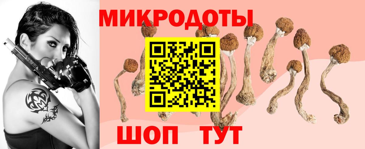 Галлюциногенные грибы мухоморы Благовещенск